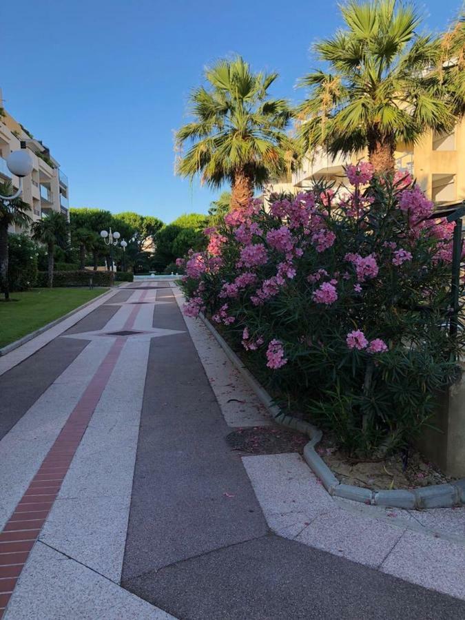 קאן סור מר Front Beach Luxury Near Nice Airport מראה חיצוני תמונה